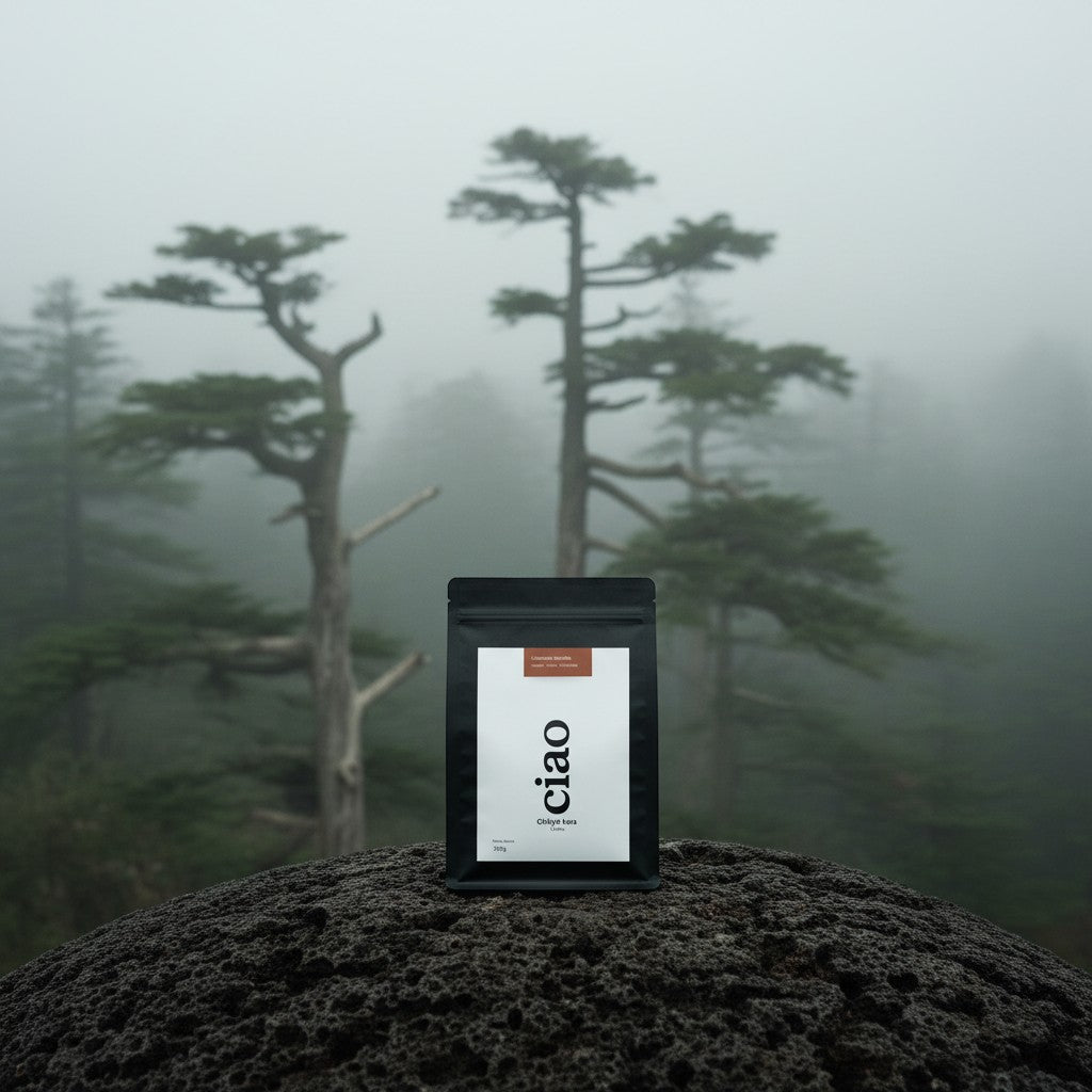 Say Ciao Coffee Chikyū kara coffee bag with tasting notes of walnut, citrus, and chocolate.
